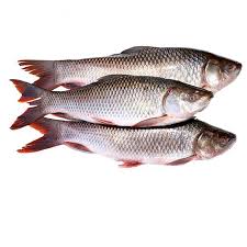 Rohu 3kg up