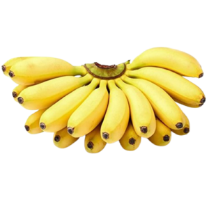 Fresh Fruits
